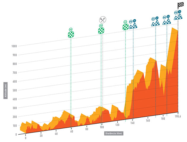 Stage 2 profile